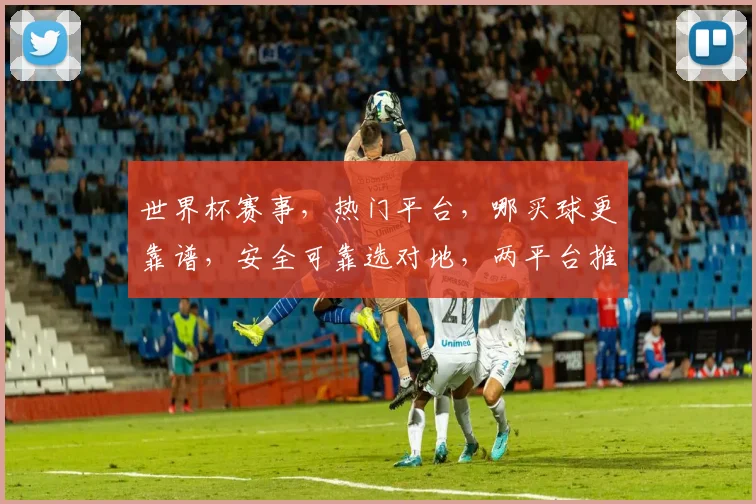 世界杯赛事，热门平台，哪买球更靠谱，安全可靠选对地，两平台推荐，必看