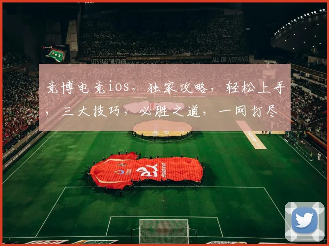竞博电竞ios，独家攻略，轻松上手，三大技巧，必胜之道，一网打尽