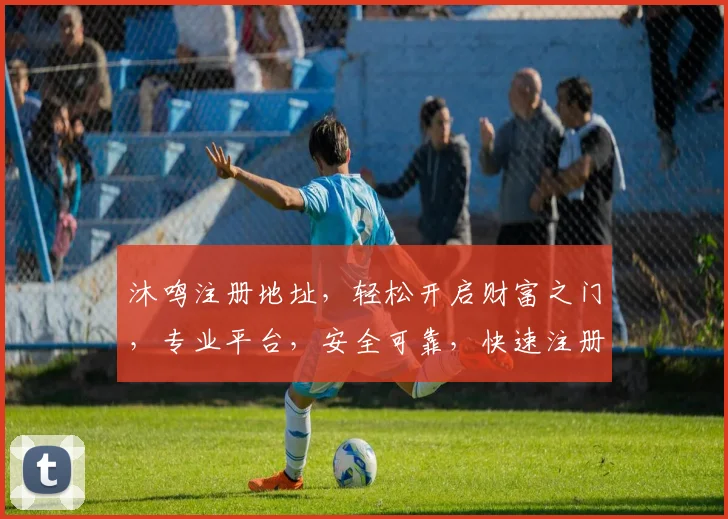 沐鸣注册地址，轻松开启财富之门，专业平台，安全可靠，快速注册，立即体验