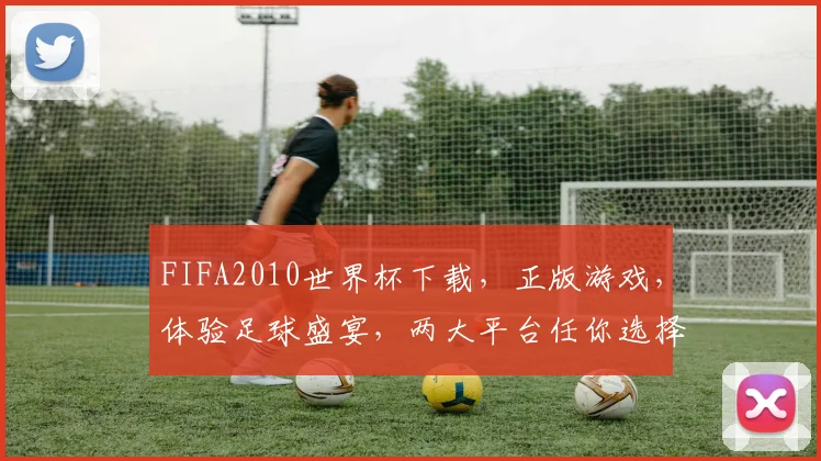 FIFA2010世界杯下载，正版游戏，体验足球盛宴，两大平台任你选择，不容错过